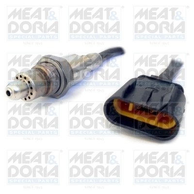 Oxygen Sensor